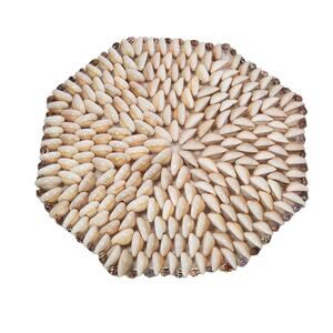 Carib Cowrie Seashell Trivet Octagon Handmade Philippines Decorative Nautical